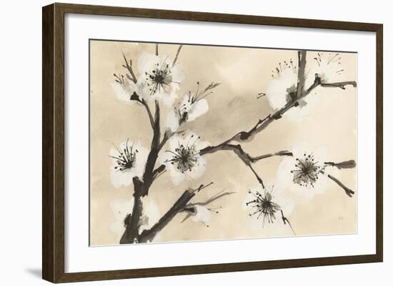 Spring Blossoms II-Chris Paschke-Framed Art Print