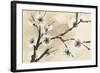 Spring Blossoms II-Chris Paschke-Framed Art Print