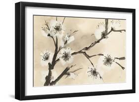 Spring Blossoms II-Chris Paschke-Framed Art Print