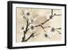 Spring Blossoms II-Chris Paschke-Framed Art Print