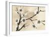 Spring Blossoms II-Chris Paschke-Framed Premium Giclee Print