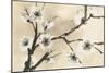 Spring Blossoms II-Chris Paschke-Mounted Premium Giclee Print
