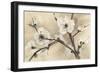 Spring Blossoms III-Chris Paschke-Framed Art Print