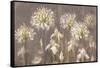 Spring Blossoms Neutral II-Danhui Nai-Framed Stretched Canvas