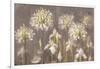 Spring Blossoms Neutral II-Danhui Nai-Framed Art Print