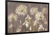 Spring Blossoms Neutral II-Danhui Nai-Framed Art Print