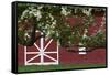 Spring Blossoms Red Barn-Robert Goldwitz-Framed Stretched Canvas