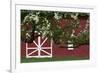 Spring Blossoms Red Barn-Robert Goldwitz-Framed Photographic Print