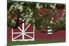 Spring Blossoms Red Barn-Robert Goldwitz-Mounted Photographic Print