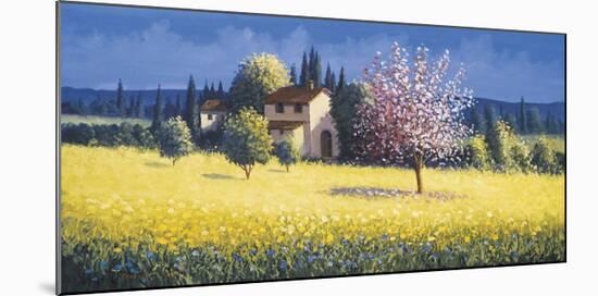 Spring Blossoms-David Short-Mounted Giclee Print