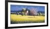 Spring Blossoms-David Short-Framed Giclee Print