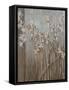 Spring Blossoms-Terri Burris-Framed Stretched Canvas