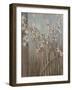 Spring Blossoms-Terri Burris-Framed Art Print