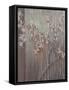 Spring Blossoms-Terri Burris-Framed Stretched Canvas