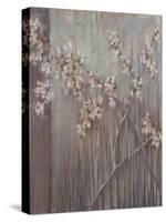 Spring Blossoms-Terri Burris-Stretched Canvas