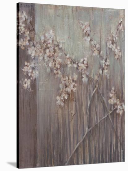 Spring Blossoms-Terri Burris-Stretched Canvas