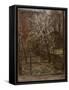 Spring Blossoms-Henry Muhrmann-Framed Stretched Canvas