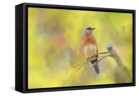 Spring Bluebird-Jai Johnson-Framed Stretched Canvas