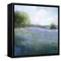 Spring Blues-Teri Jonas-Framed Stretched Canvas