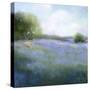 Spring Blues-Teri Jonas-Stretched Canvas