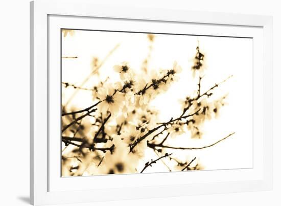 Spring Blush-Katja Marzahn-Framed Giclee Print