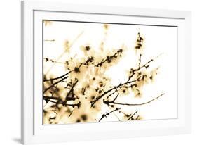 Spring Blush-Katja Marzahn-Framed Giclee Print