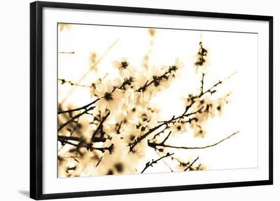 Spring Blush-Katja Marzahn-Framed Giclee Print