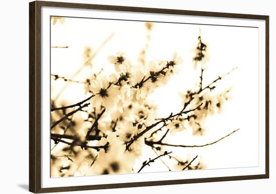 Spring Blush-Katja Marzahn-Framed Giclee Print