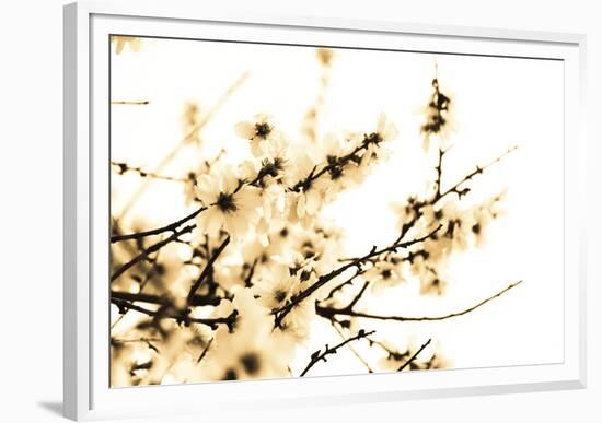 Spring Blush-Katja Marzahn-Framed Giclee Print