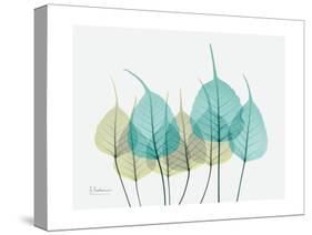 Spring Bodhi Leaves-Albert Koetsier-Stretched Canvas