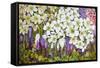 Spring Border: Hellebores, Crocus and Violets-Joan Thewsey-Framed Stretched Canvas