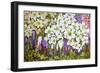 Spring Border: Hellebores, Crocus and Violets-Joan Thewsey-Framed Giclee Print