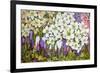 Spring Border: Hellebores, Crocus and Violets-Joan Thewsey-Framed Giclee Print