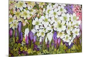 Spring Border: Hellebores, Crocus and Violets-Joan Thewsey-Mounted Giclee Print