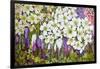 Spring Border: Hellebores, Crocus and Violets-Joan Thewsey-Framed Giclee Print