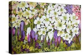 Spring Border: Hellebores, Crocus and Violets-Joan Thewsey-Stretched Canvas