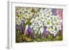 Spring Border: Hellebores, Crocus and Violets-Joan Thewsey-Framed Giclee Print