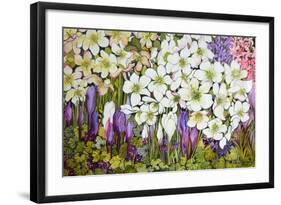 Spring Border: Hellebores, Crocus and Violets-Joan Thewsey-Framed Giclee Print