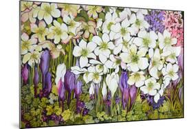 Spring Border: Hellebores, Crocus and Violets-Joan Thewsey-Mounted Giclee Print