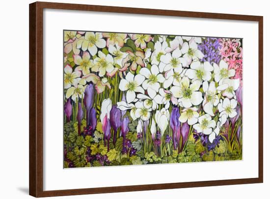 Spring Border: Hellebores, Crocus and Violets-Joan Thewsey-Framed Giclee Print