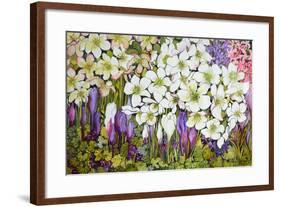 Spring Border: Hellebores, Crocus and Violets-Joan Thewsey-Framed Giclee Print