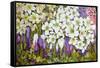 Spring Border: Hellebores, Crocus and Violets-Joan Thewsey-Framed Stretched Canvas