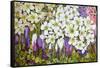 Spring Border: Hellebores, Crocus and Violets-Joan Thewsey-Framed Stretched Canvas