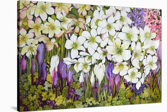 Spring Border: Hellebores, Crocus and Violets-Joan Thewsey-Stretched Canvas