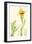 Spring Bounty II-Samuel Curtis-Framed Art Print