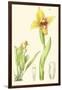 Spring Bounty II-Samuel Curtis-Framed Art Print