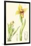 Spring Bounty II-Samuel Curtis-Framed Art Print