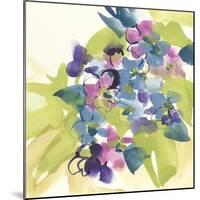 Spring Bouquet I-Chris Paschke-Mounted Art Print