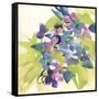 Spring Bouquet I-Chris Paschke-Framed Stretched Canvas