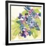 Spring Bouquet I-Chris Paschke-Framed Art Print